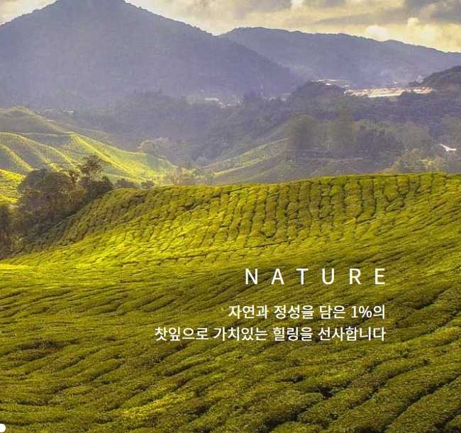 디지털디자인(웹디자인,웹퍼블리셔)양성 전체프로젝트 1의 캡쳐화면
